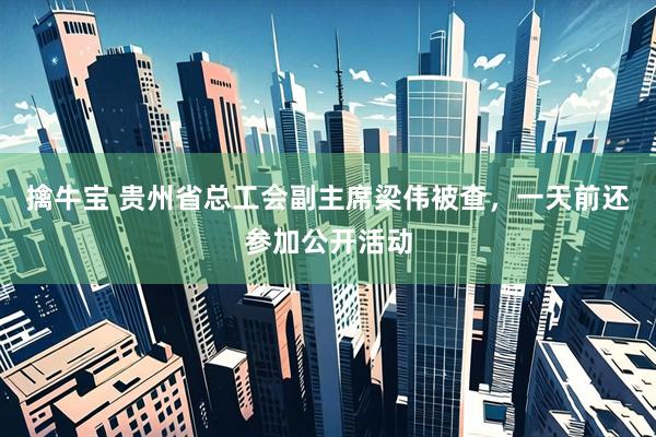 擒牛宝 贵州省总工会副主席梁伟被查，一天前还参加公开活动