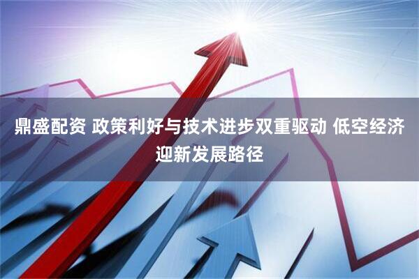 鼎盛配资 政策利好与技术进步双重驱动 低空经济迎新发展路径