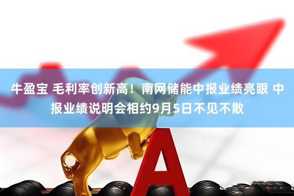 牛盈宝 毛利率创新高！南网储能中报业绩亮眼 中报业绩说明会相约9月5日不见不散