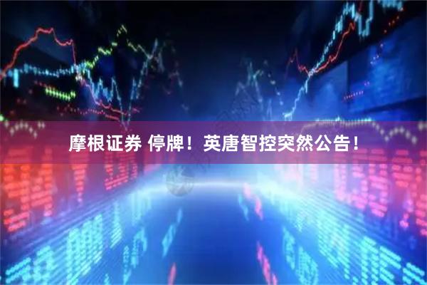 摩根证券 停牌！英唐智控突然公告！