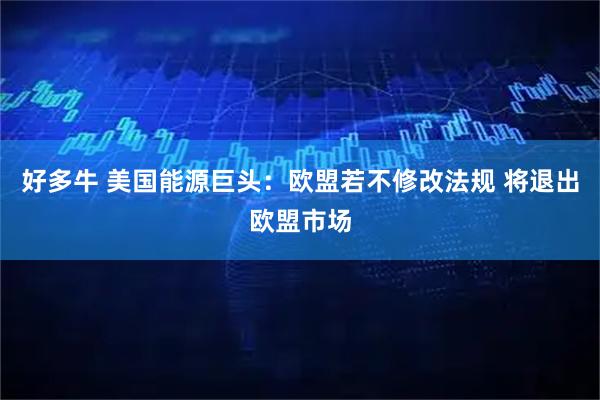 好多牛 美国能源巨头：欧盟若不修改法规 将退出欧盟市场