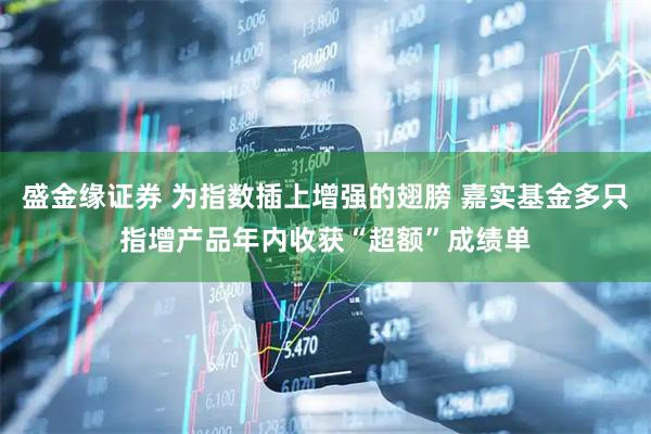 盛金缘证券 为指数插上增强的翅膀 嘉实基金多只指增产品年内收获“超额”成绩单