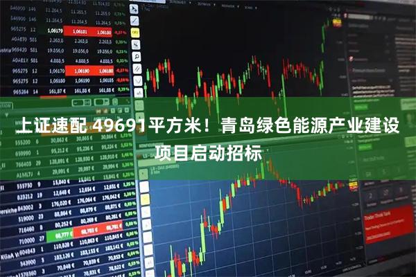 上证速配 49691平方米！青岛绿色能源产业建设项目启动招标